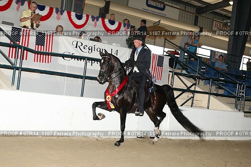 Proof 07R14_1187