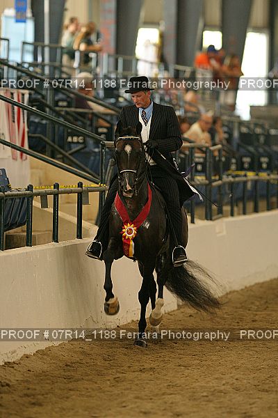 Proof 07R14_1188