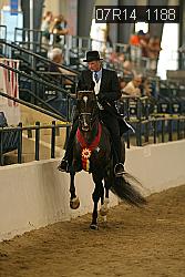 07R14_1188 proof