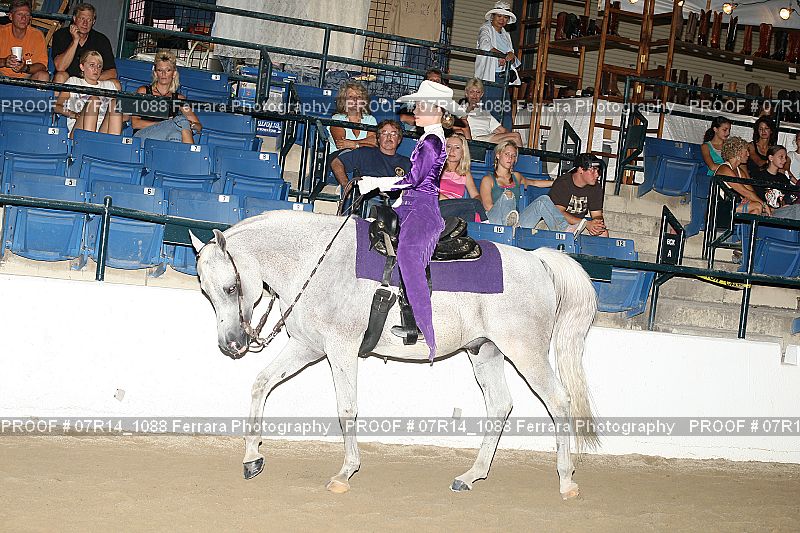 Proof 07R14_1088