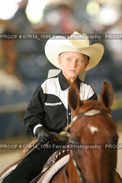 Proof 07R14_1099