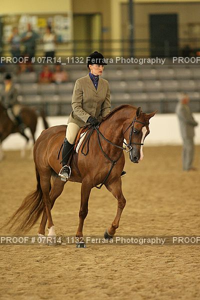 Proof 07R14_1132