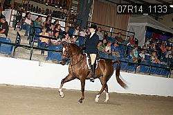 07R14_1133 proof
