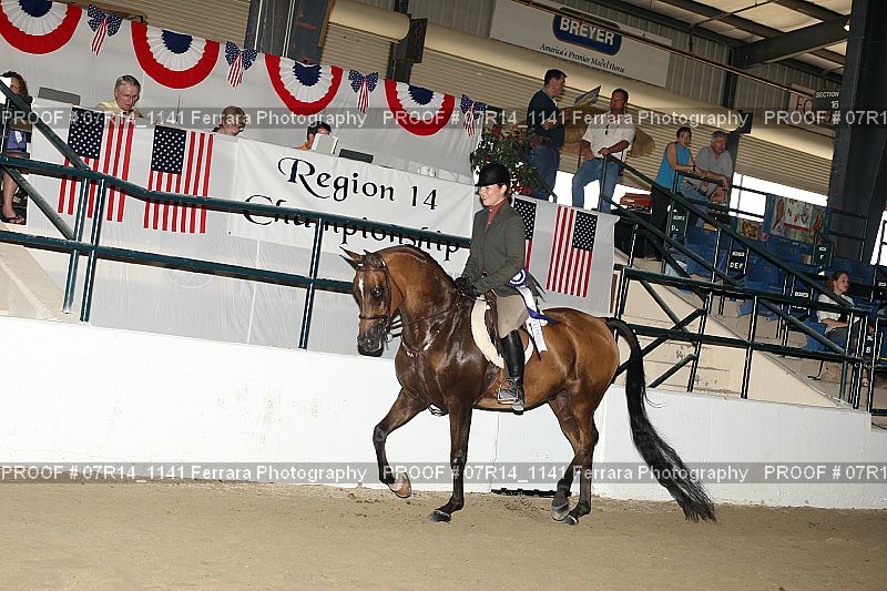 Proof 07R14_1141