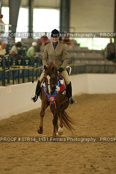 Proof 07R14_1151