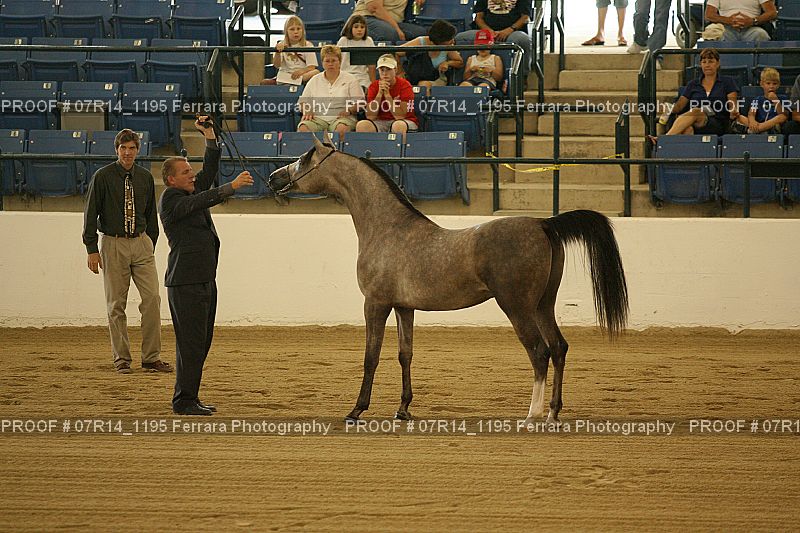 Proof 07R14_1195