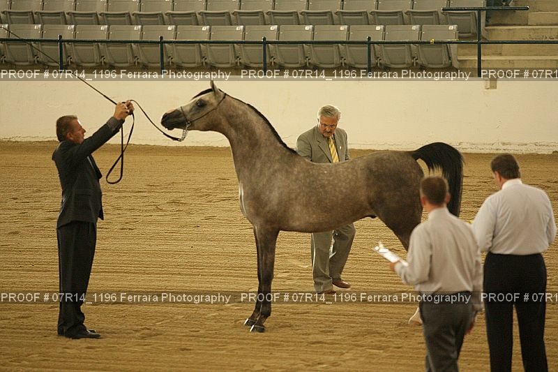 Proof 07R14_1196