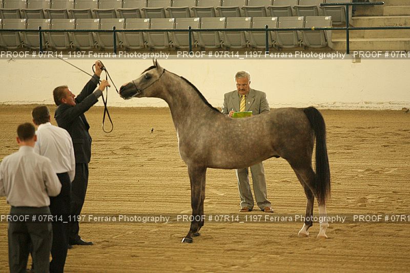 Proof 07R14_1197