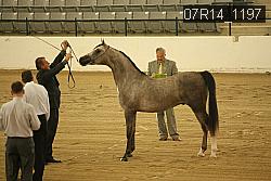 07R14_1197 proof