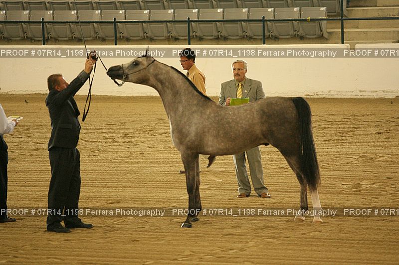 Proof 07R14_1198