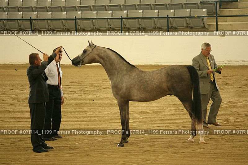 Proof 07R14_1199