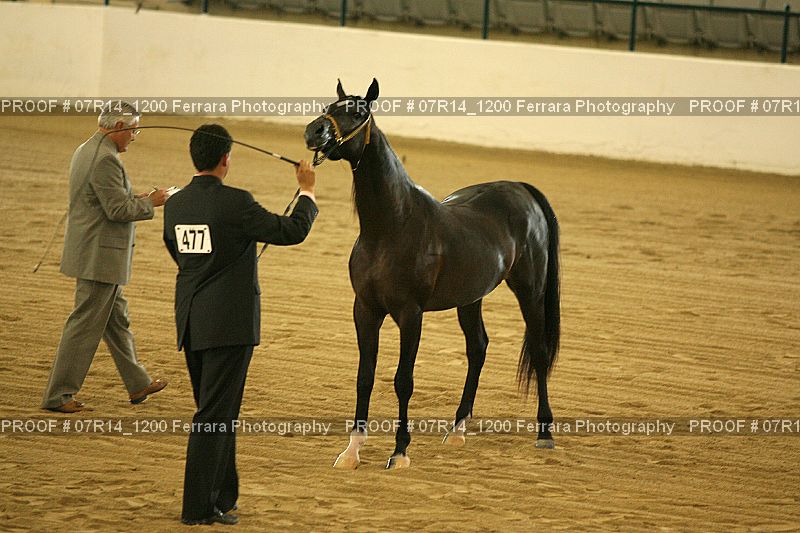Proof 07R14_1200