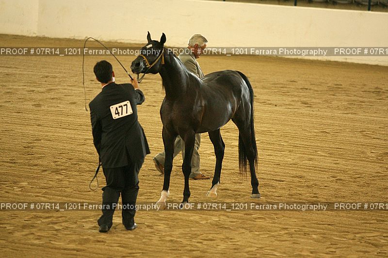Proof 07R14_1201