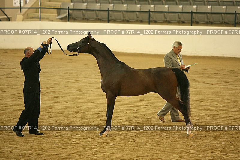 Proof 07R14_1202