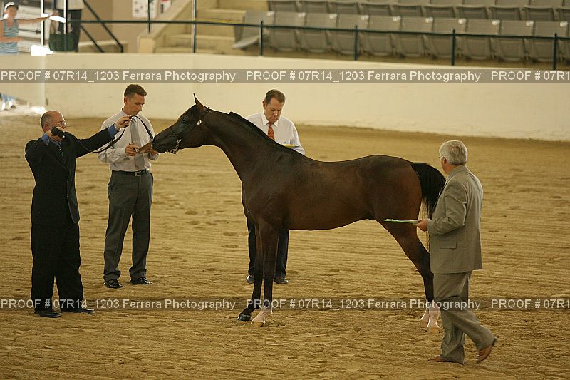 Proof 07R14_1203
