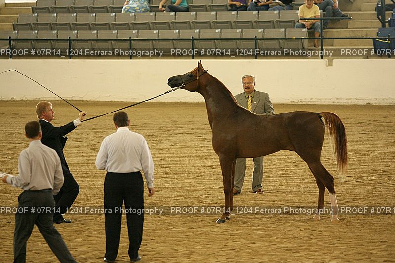 Proof 07R14_1204