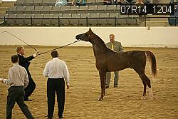 07R14_1204 proof