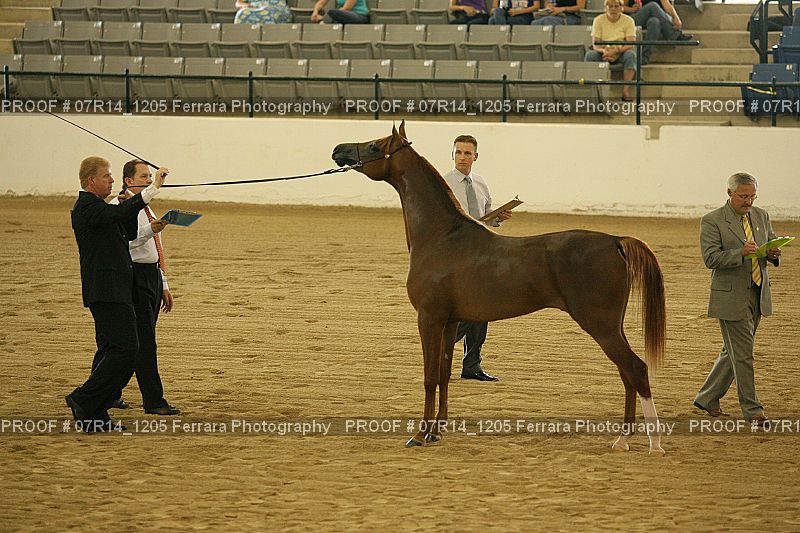 Proof 07R14_1205