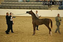 07R14_1205 proof