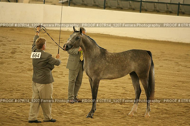 Proof 07R14_1207