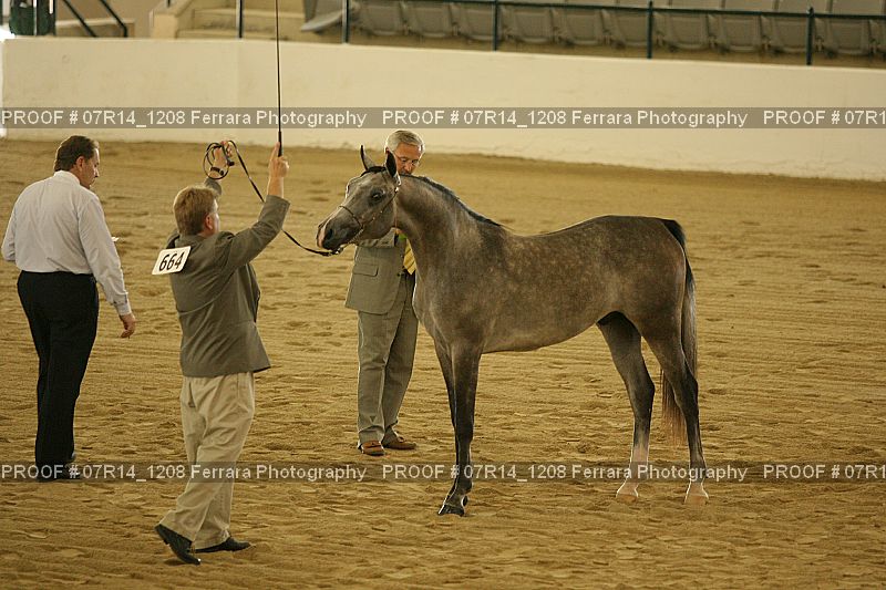 Proof 07R14_1208