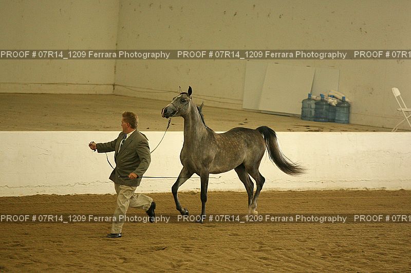Proof 07R14_1209