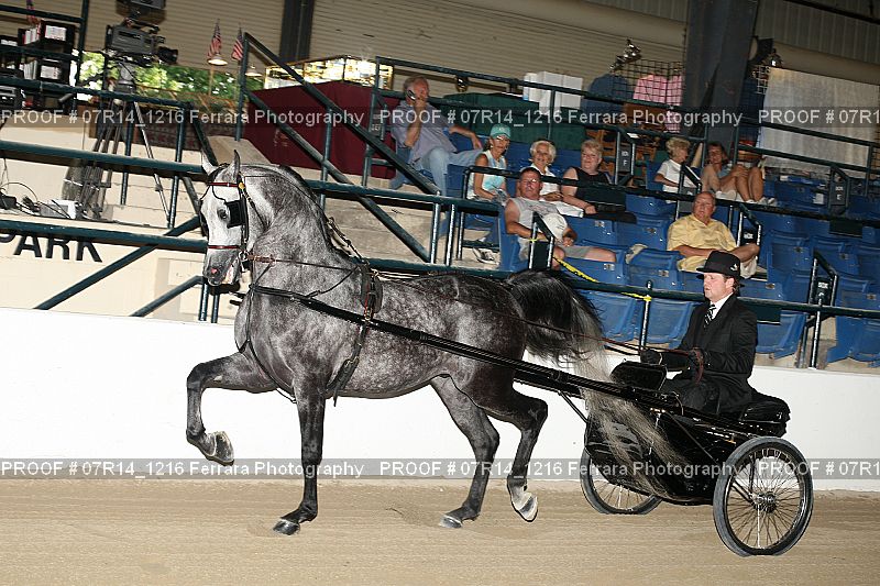 Proof 07R14_1216