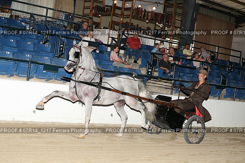 Proof 07R14_1217