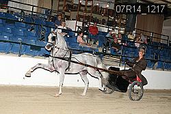 07R14_1217 proof