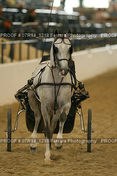 Proof 07R14_1218