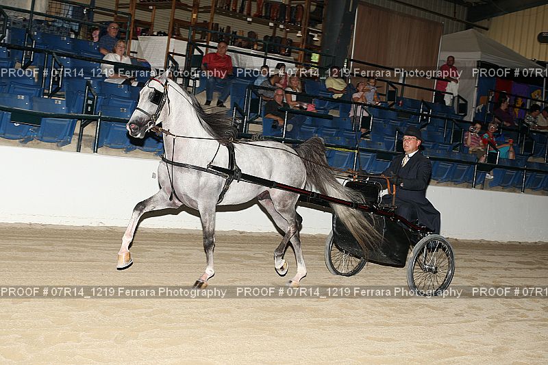 Proof 07R14_1219