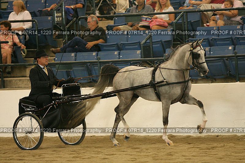 Proof 07R14_1220
