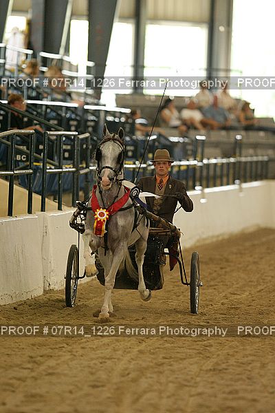 Proof 07R14_1226