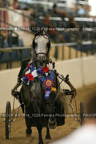 Proof 07R14_1229