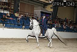07R14_1243 proof