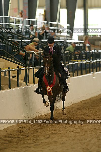 Proof 07R14_1253