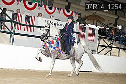 07R14_1254 proof