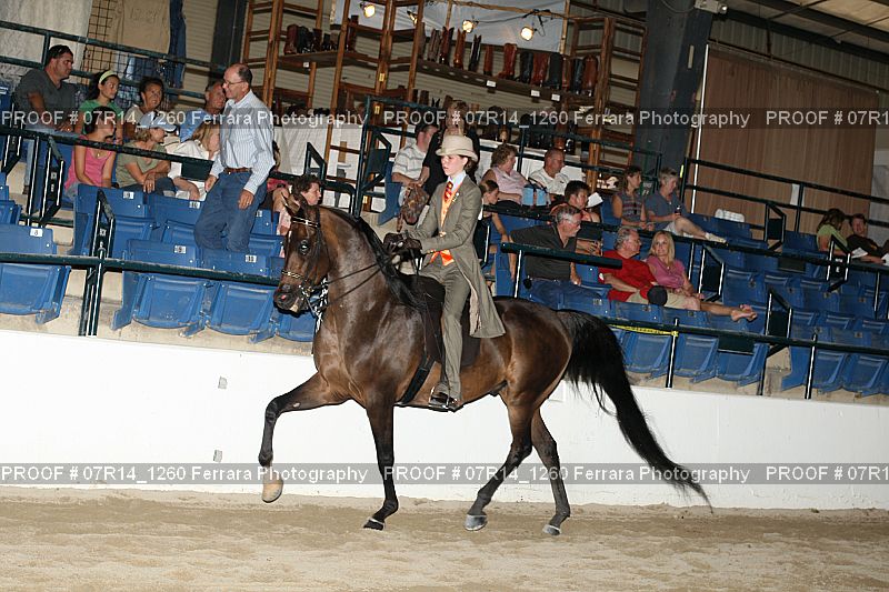 Proof 07R14_1260