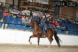 07R14_1262 proof