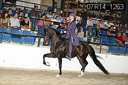 07R14_1263 proof