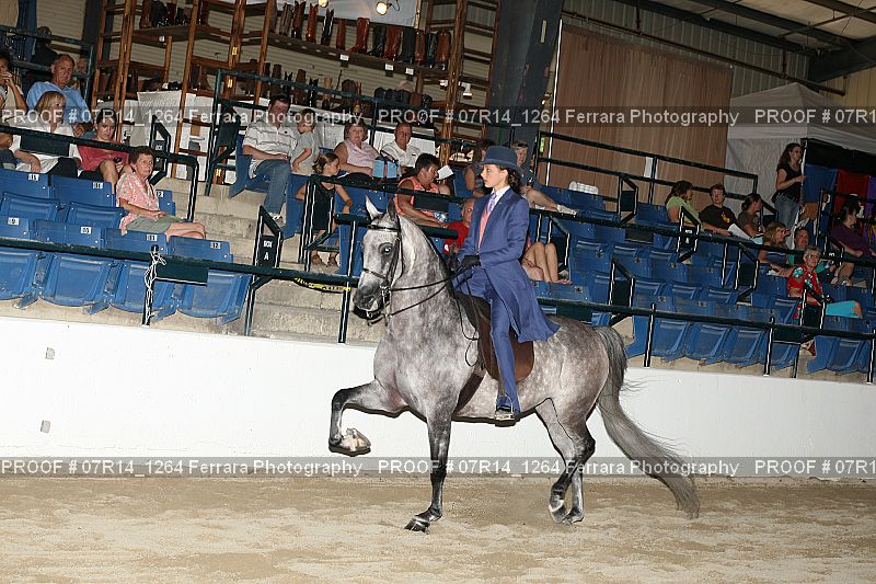 Proof 07R14_1264