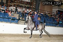 07R14_1264 proof