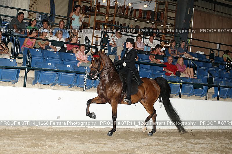 Proof 07R14_1266