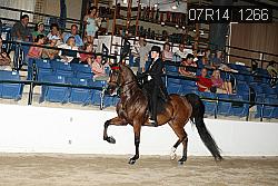 07R14_1266 proof