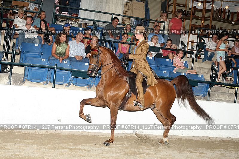 Proof 07R14_1267