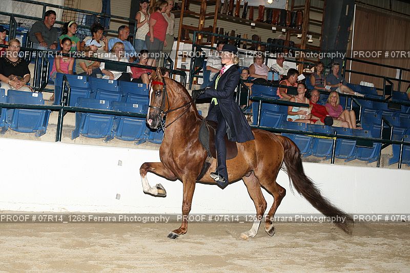 Proof 07R14_1268