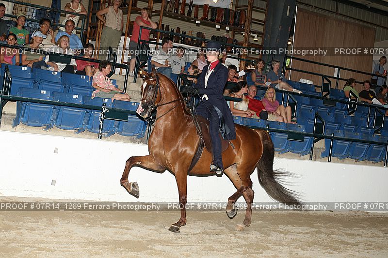Proof 07R14_1269