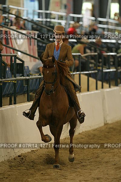 Proof 07R14_1271