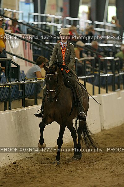Proof 07R14_1272