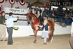 07R14_1273 proof
